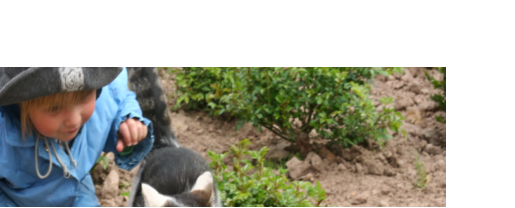 Tiere erleben - ein echter Bauernhof